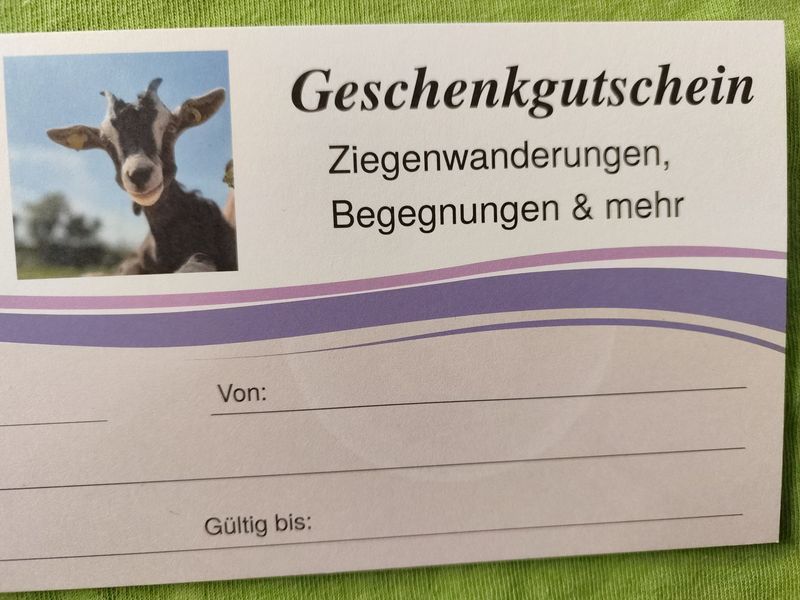 Gutschein für eine Ziegenwanderung oder Begegnung Gutschein für eine Ziegenwanderung oder Begegnung