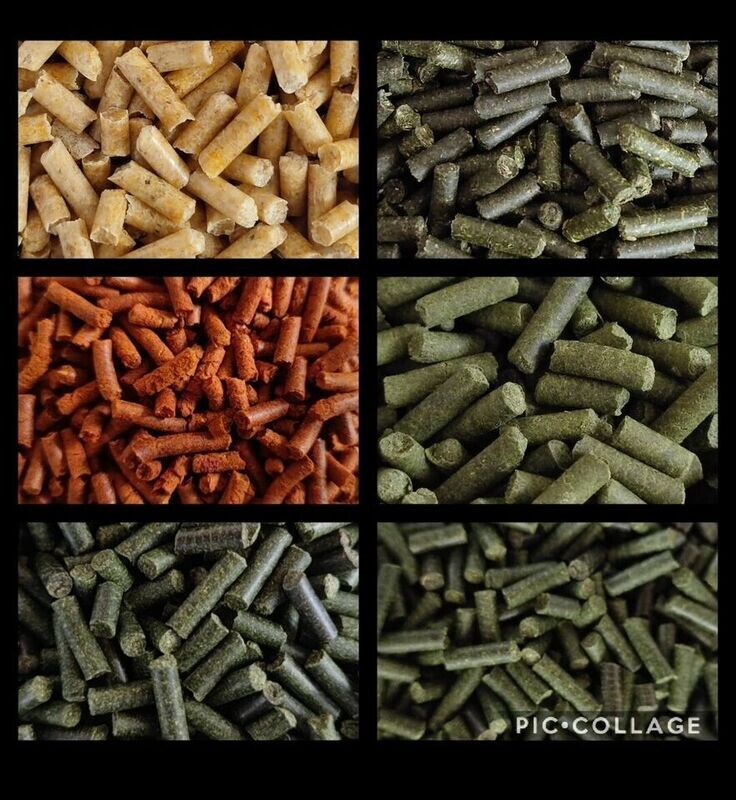 50 gr. Garnelen Futtersticks / verschiedene Sorten 50 gr. Garnelen Futtersticks / verschiedene Sorten