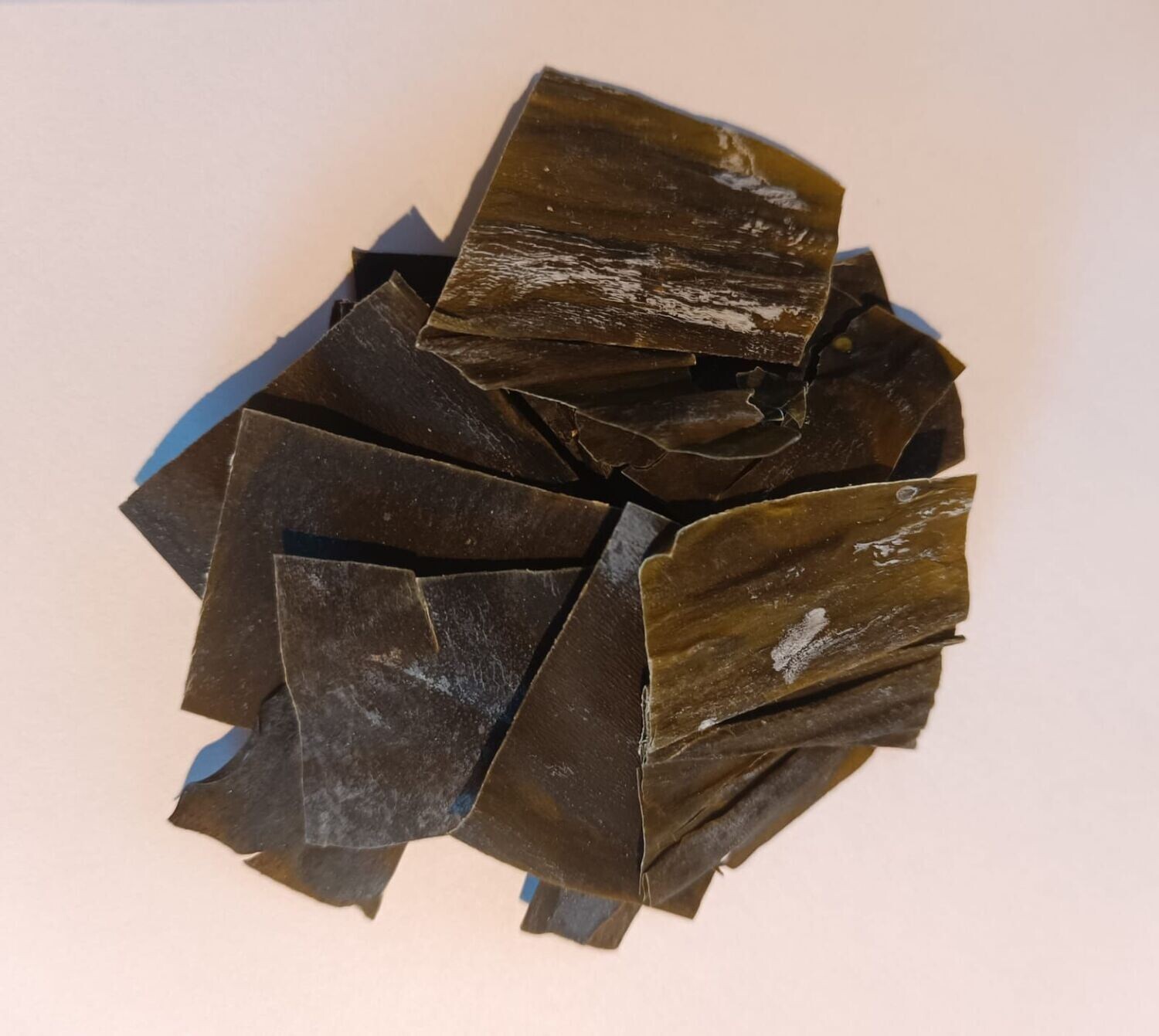 Algae-Chips Aufwuchsfresser & Wochenendfutter für Wirbellose
