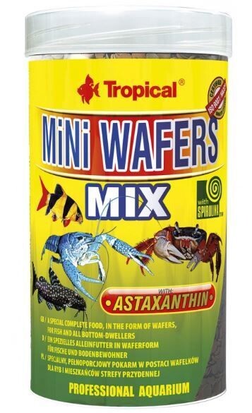 Tropical Mini Wafers Mix