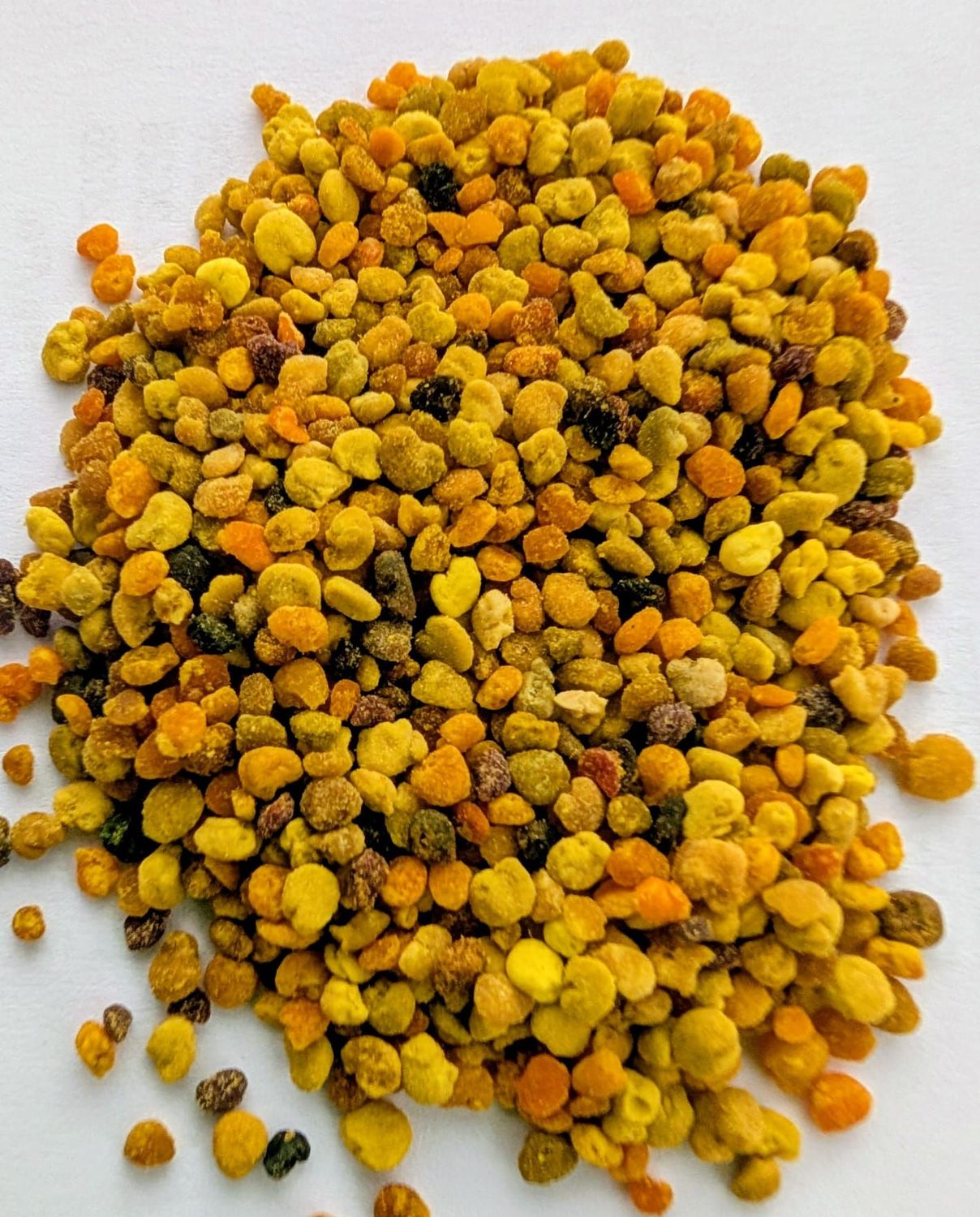 100 % Blütenpollen - Premium Futter  10gr.