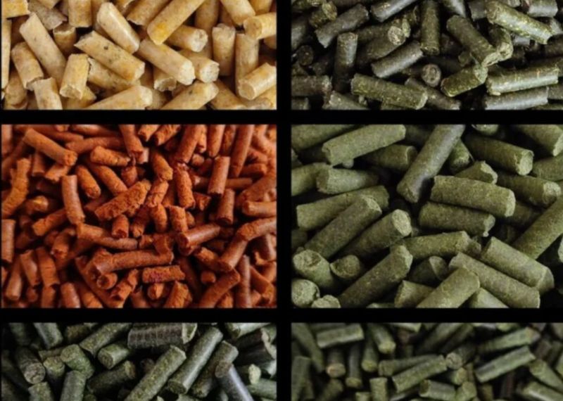 Garnelen Futtersticks – Zufälliger Mix (25 g)