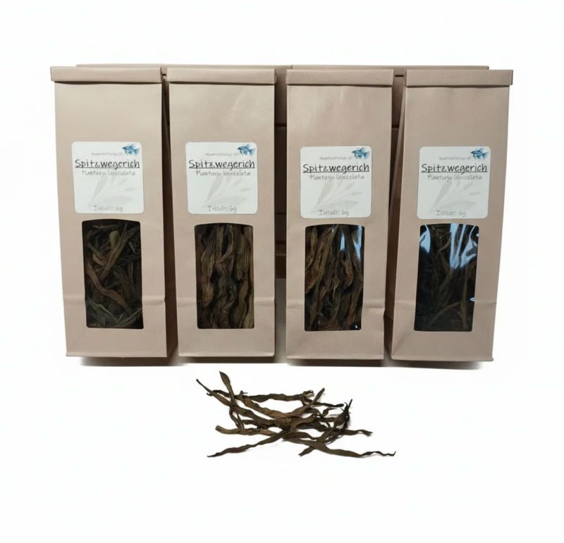 Spitzwegerich – Naturfutter für Garnelen, Krebse, Schnecken und Welse 6 g. Spitzwegerich – Naturfutter für Garnelen, Krebse, Schnecken und Welse 6 g.