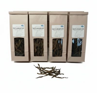 Spitzwegerich – Naturfutter für Garnelen, Krebse, Schnecken und Welse 6 g. Spitzwegerich – Naturfutter für Garnelen, Krebse, Schnecken und Welse 6 g.