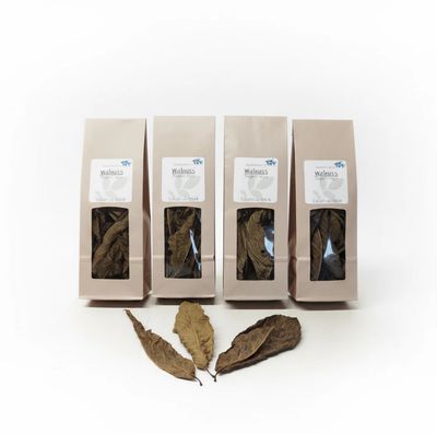 Walnussblätter – Naturfutter für Garnelen, Krebse, Schnecken und Welse 10. St. Walnussblätter – Naturfutter für Garnelen, Krebse, Schnecken und Welse 10. St.