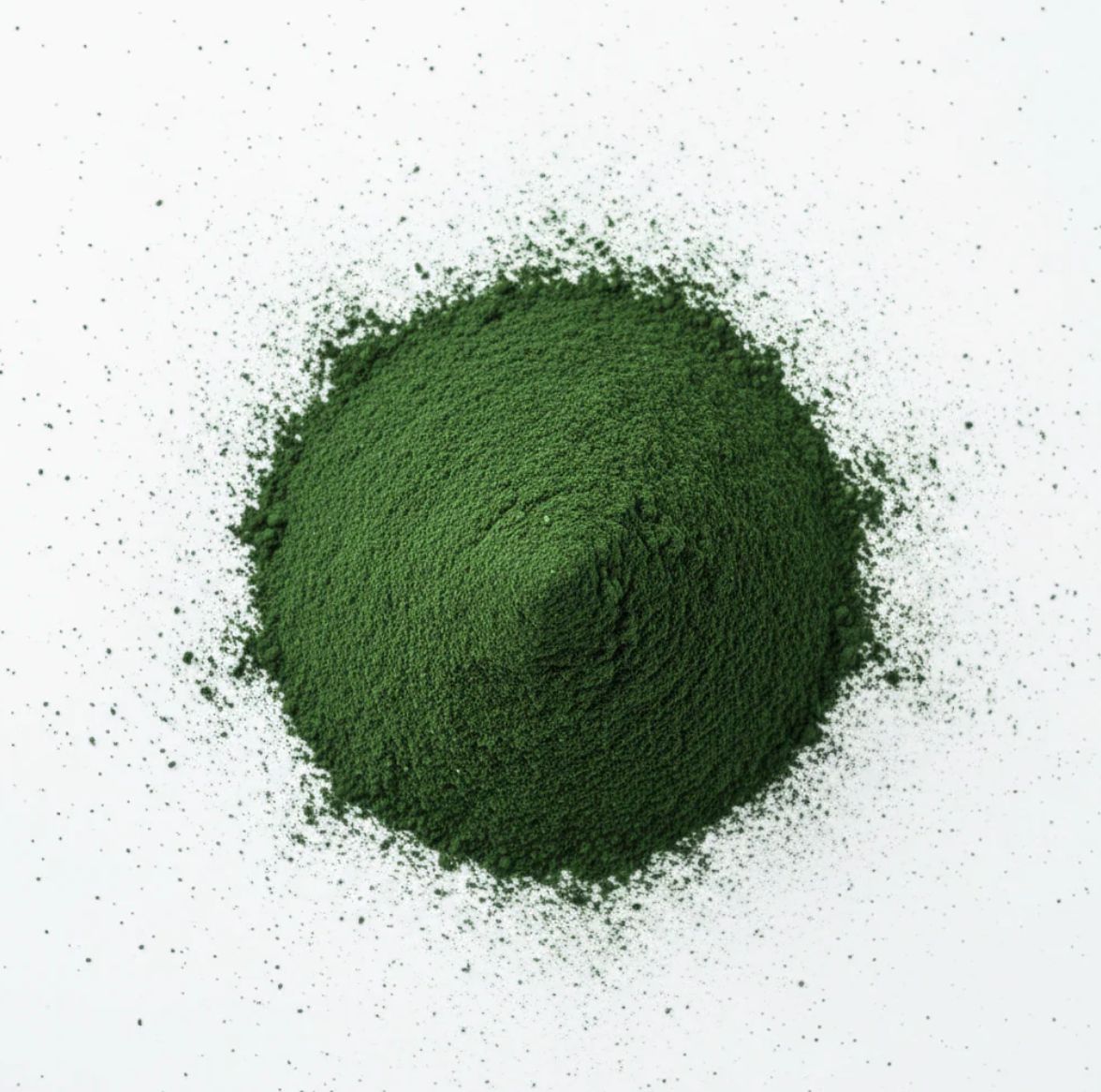 Spirulina gemahlen 25 g – Natürliches Superfood für Garnelen, Schnecken & Zierfische