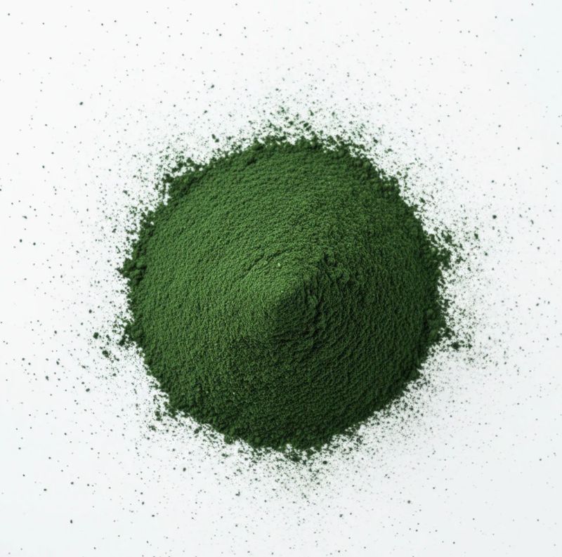 Spirulina gemahlen 25 g – Natürliches Superfood für Garnelen, Schnecken & Zierfische