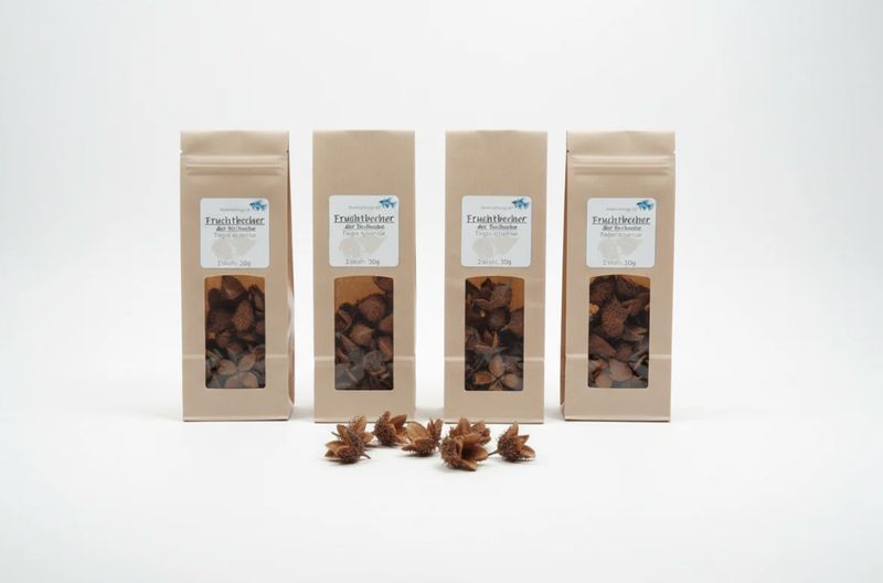 Fruchtbecher der Rotbuche – Naturfutter für Garnelen, Krebse, Schnecken und Welse Fruchtbecher der Rotbuche – Naturfutter für Garnelen, Krebse, Schnecken und Welse