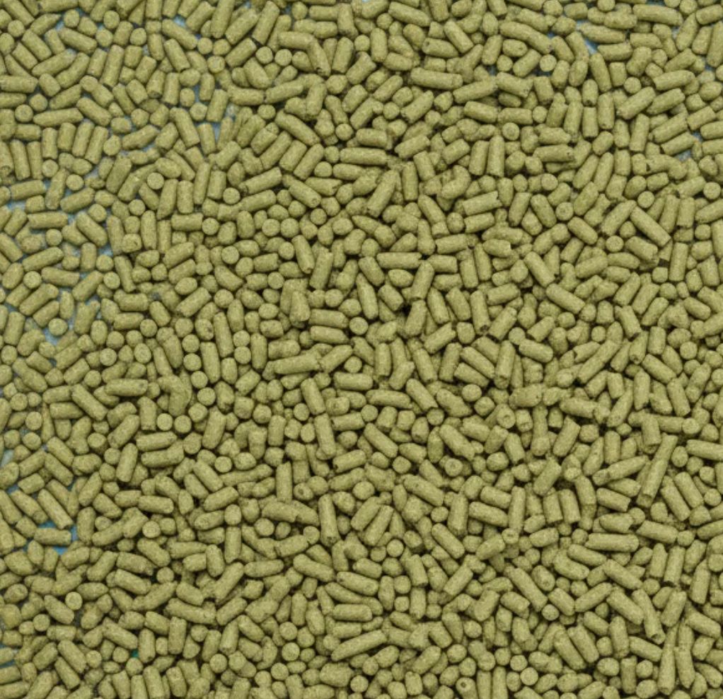 Grüner Hafer Pellets 25 g – Natürliches Ergänzungsfutter für Garnelen, Schnecken & Zierfische Grüner Hafer Pellets 25 g – Natürliches Ergänzungsfutter für Garnelen, Schnecken & Zierfische