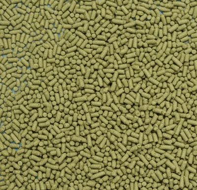Grüner Hafer Pellets 25 g – Natürliches Ergänzungsfutter für Garnelen, Schnecken & Zierfische Grüner Hafer Pellets 25 g – Natürliches Ergänzungsfutter für Garnelen, Schnecken & Zierfische