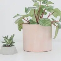 Terracotta Cylinder Planter, Blush Pink, 5 inch