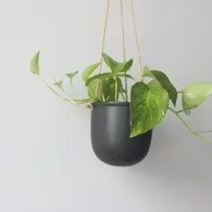 Hanging Planter Pot, Matte Black, 5 inch
