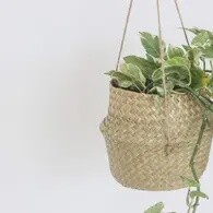 Boho Hanging Seagrass Belly Basket Planter, 8 inch