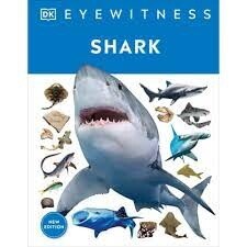 Eyewitness: Sharks