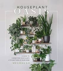 Houseplant Oasis