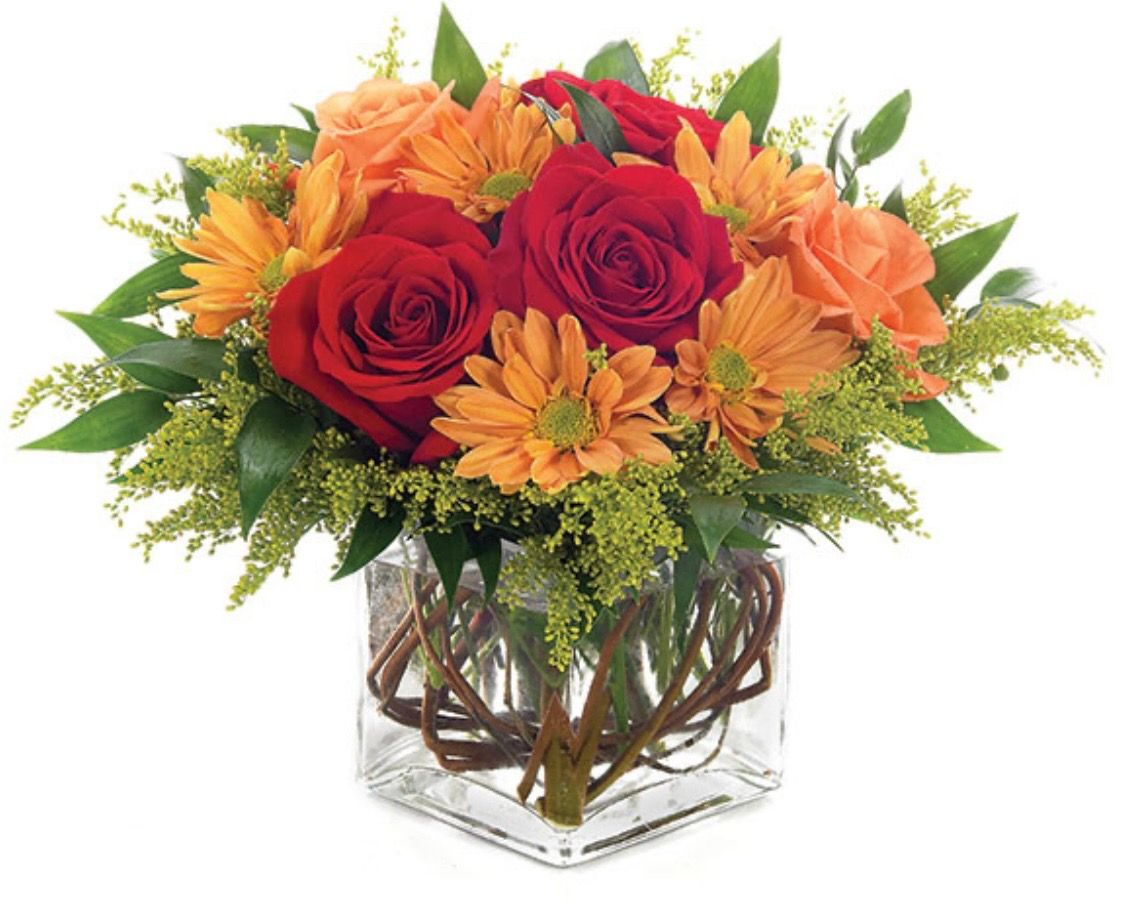 $55 Seasonal Fresh Flower Fall/Thanksgiving Arrangement