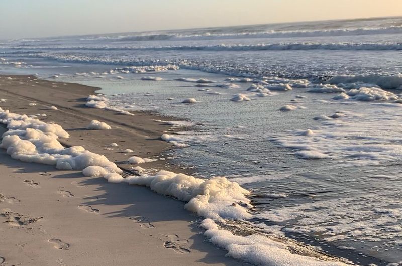 Favorite Things to Do in Avalon, NJ