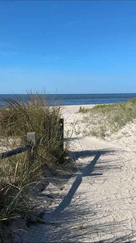 Favorite Things to Do in Cape May, NJ