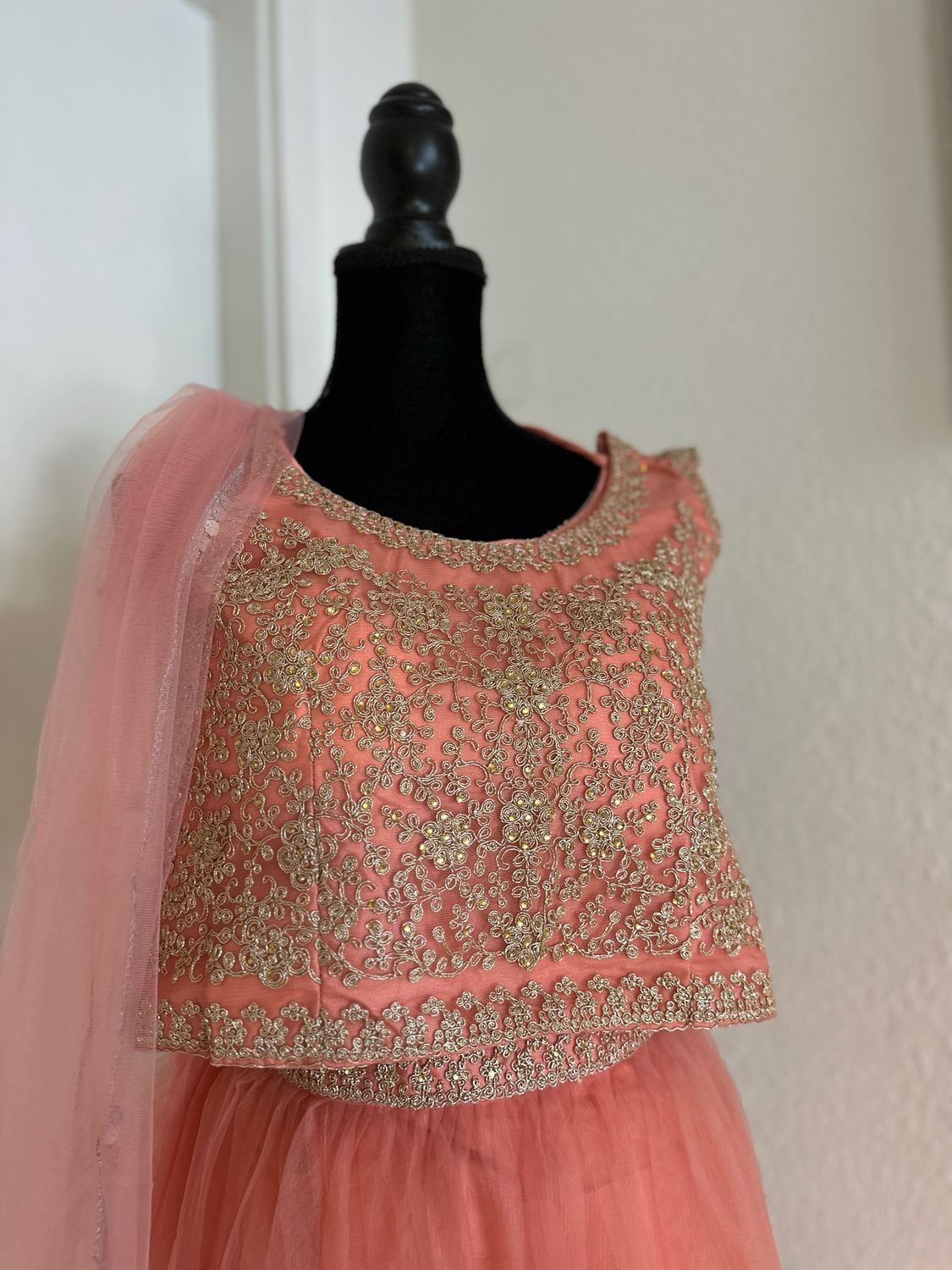 Lehenga with Choli