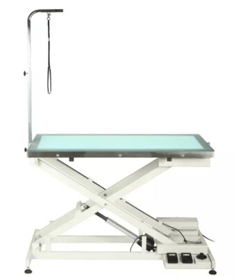 FT-829 Grooming Table with LED Light