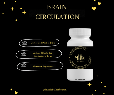Brain Circulation