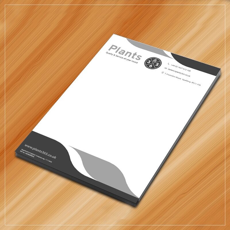 Letterhead 1-2 C