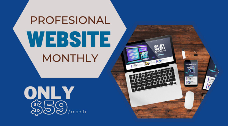 Pro Website (Monthly Package)