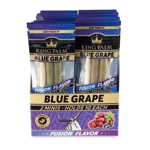 KING PALM  BLUE GRAPE MINIS
