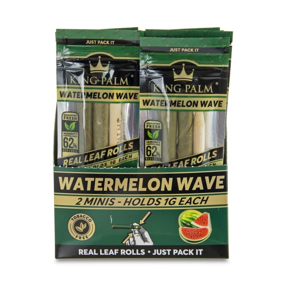 KING PALM WATERMELON WAVE MINIS