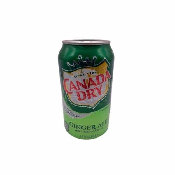 CANADA DRY SAFE CAN