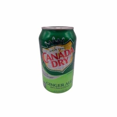CANADA DRY SAFE CAN