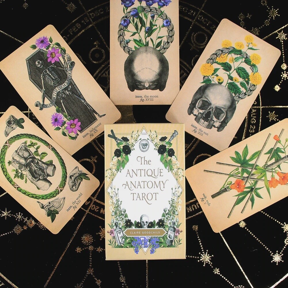 ANTIQUE ANATOMY TAROT CARDS