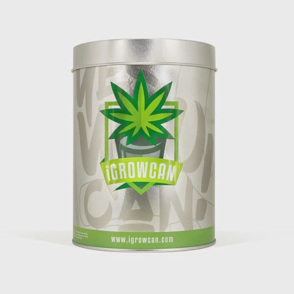 IGrowCan - Royal Haze Automatic