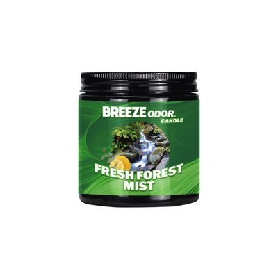 BREEZE SMOKE ODOR CANDLE 13OZ FRESH FOREST MINT