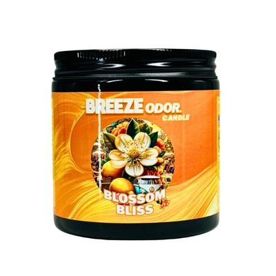 BREEZE SMOKE ODOR CANDLE 13OZ BLOSSOM BLISS