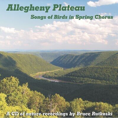 Alleghany Plateau MP3