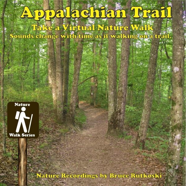 Appalachian Trail MP3