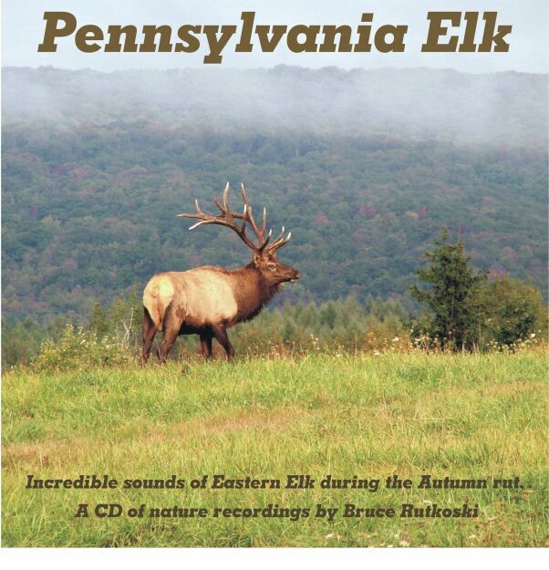 Pennsylvania Elk MP3
