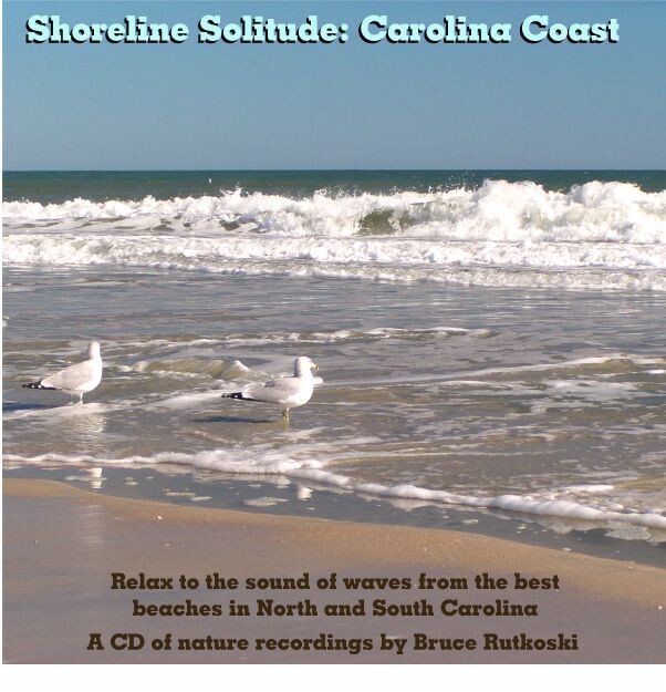 Carolina Coast MP3