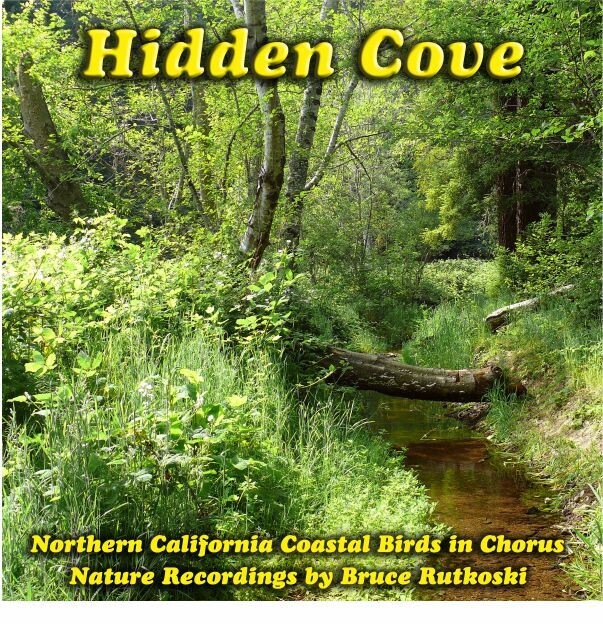 Hidden Cove MP3