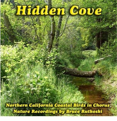 Hidden Cove MP3