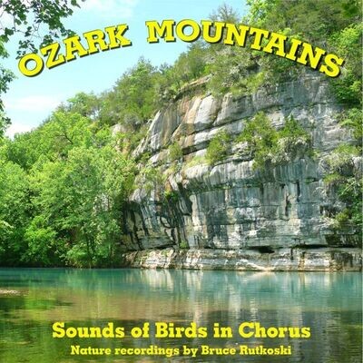 Ozark Mountains MP3