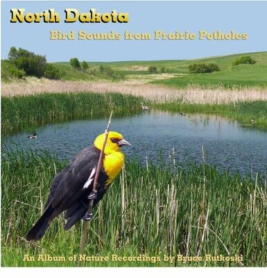 North Dakota Potholes MP3