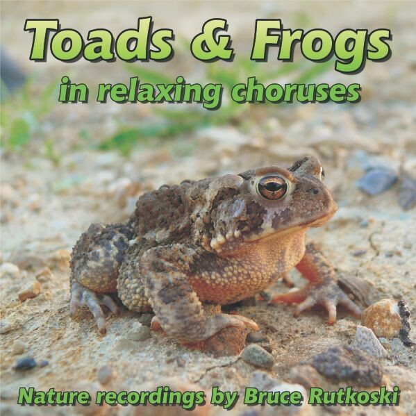 Toads and Frogs MP3
