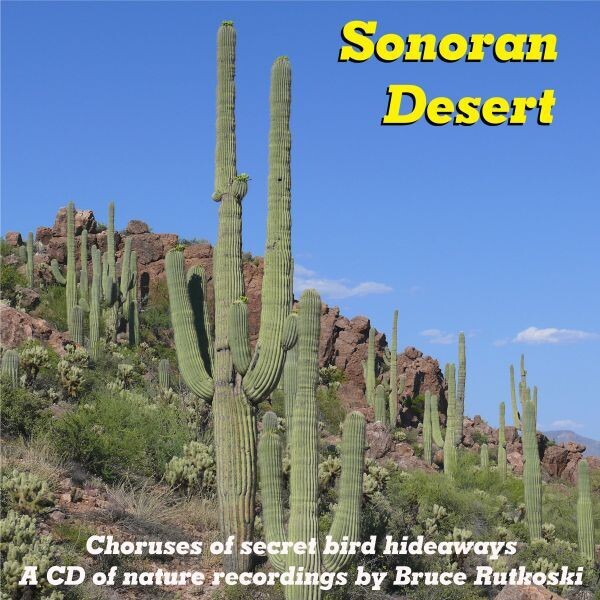 Sonoran Desert MP3
