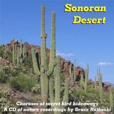 Sonoran Desert MP3