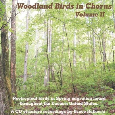 Woodland Birds Vol 2 MP3