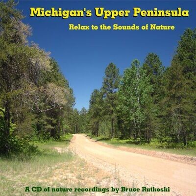 Michigan Upper Peninsula MP3