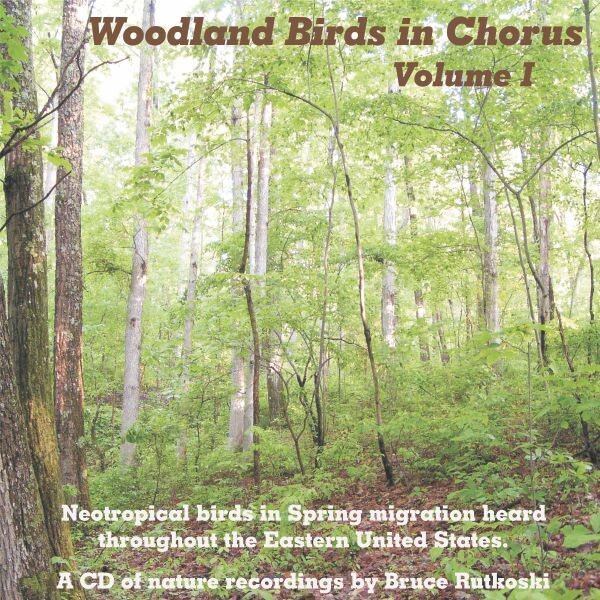 Woodland Birds Vol 1 MP3