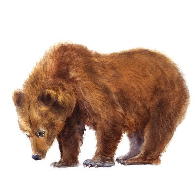 Акварельная картина "Медведь"
